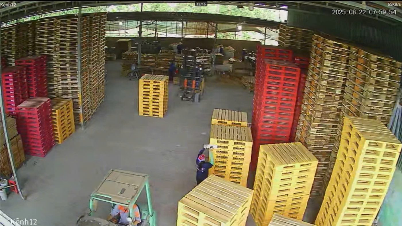 Công Ty TNHH Đầu Tư Và Sản Xuất HVG